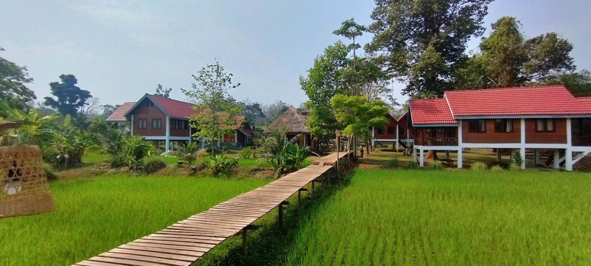 Bolaven Garden Bungalow And Tent - Tad Lo Ban Kiangtat Εξωτερικό φωτογραφία